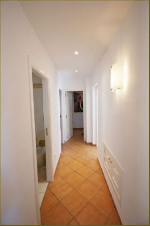 photo_11