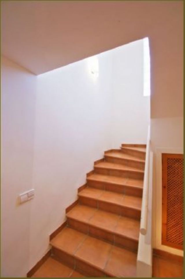 photo_24
