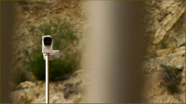 photo_19