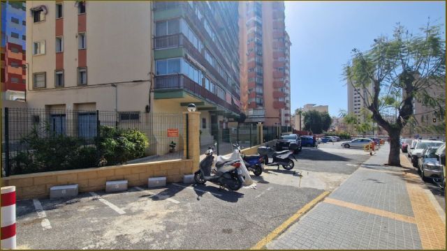 photo_15