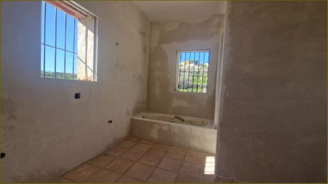 photo_20