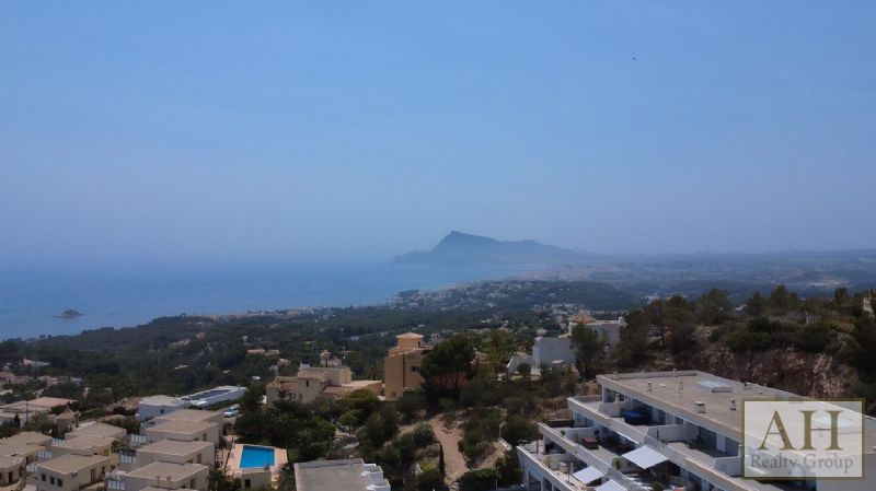 photo_3