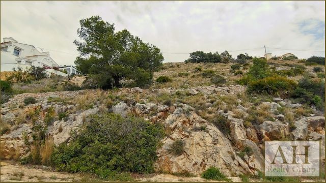 photo_6