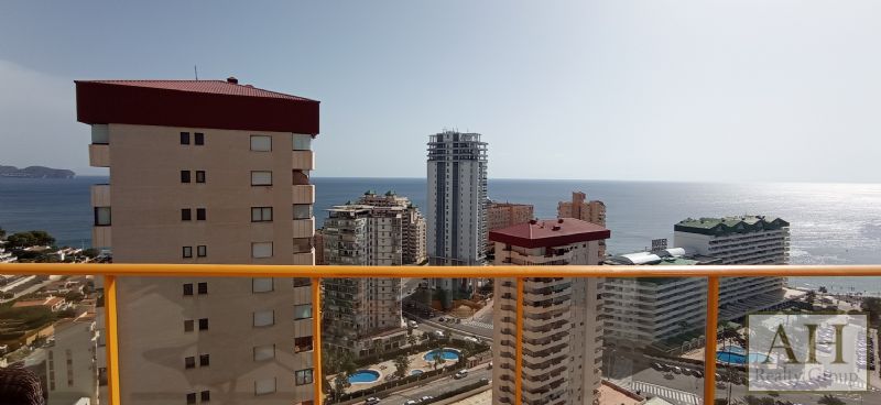 photo_15