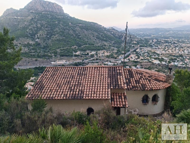 photo_3